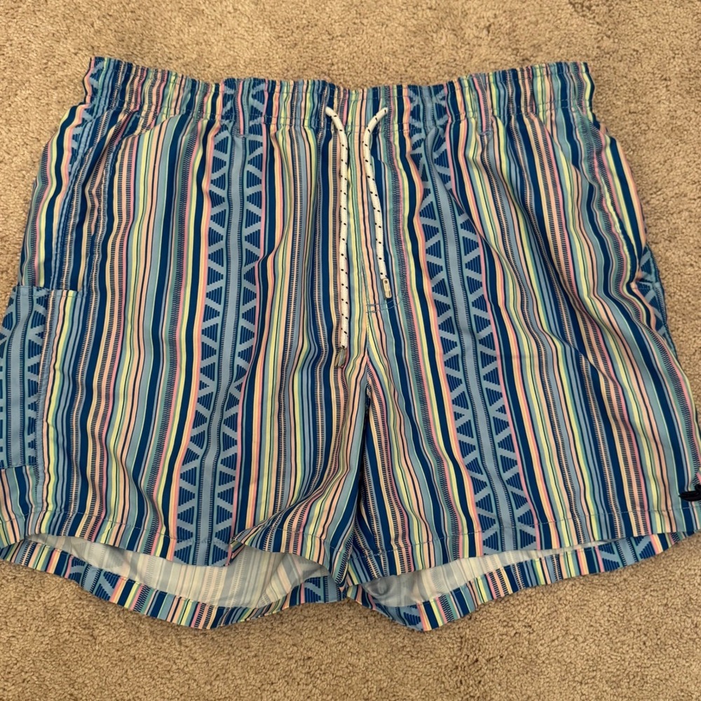 Southern Marsh Mens Large Blue Striped Geometric Mesh Lined Swim Trunks Shorts